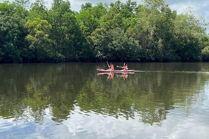 Phu Quoc Kayak and Island Adventure Tour - The Real Experience: What Travelers Say