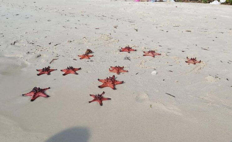 Phu Quoc North and South Island 1-Day Adventure - Good To Know