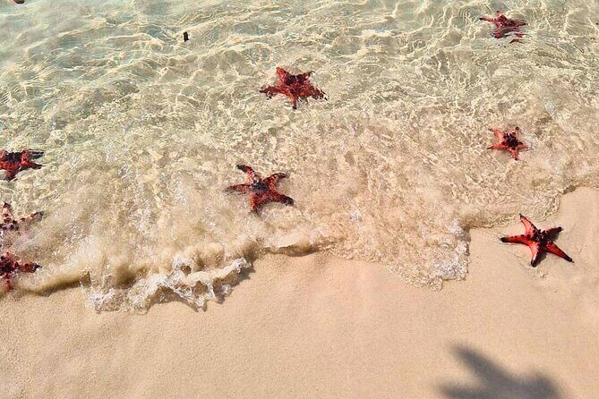 Phu Quoc North Island & Kayaking Tour - Final Thoughts: Who Is This Tour Best For?