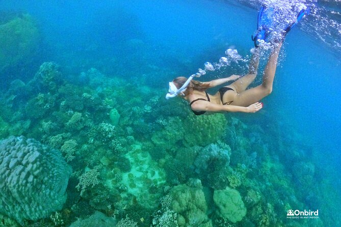 Phu Quoc Private Coral Jungle Reef Snorkel Tour - Overview and Activities