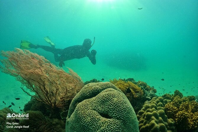 Phu Quoc Private Coral Jungle Reef Snorkel Tour - Common Questions