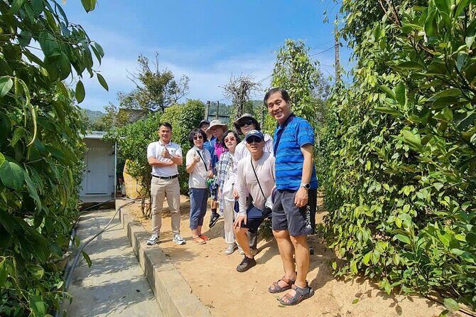 Phu Quoc Private Transfer Arrival & Departure - Who is This Transfer Best For?