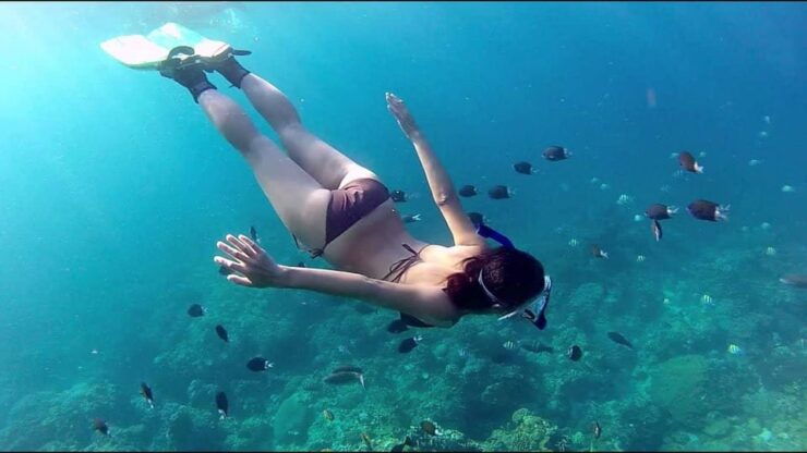 Phu Quoc Pro-Guided Coral Reef Diving Experience - Good To Know