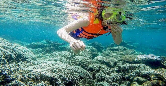 Phu Quoc Pro-Guided Coral Reef Diving Experience - Booking Process