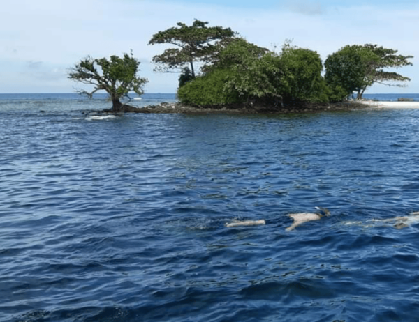 Phu Quoc Pro-Guided Coral Reef Diving Experience - Cancellation Policy
