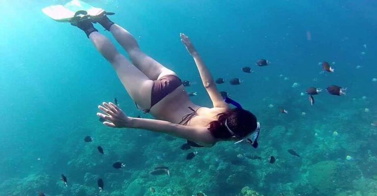 Phu Quoc Pro-Guided Coral Reef Diving Experience - Detailed Itinerary