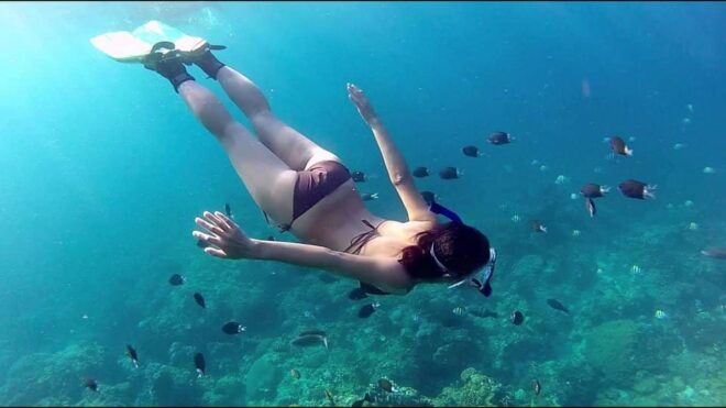 Phu Quoc Pro-Guided Coral Reef Diving Experience - Whats Included