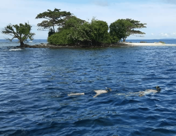Phu Quoc Pro-Guided Coral Reef Diving Experience - Contact and Support