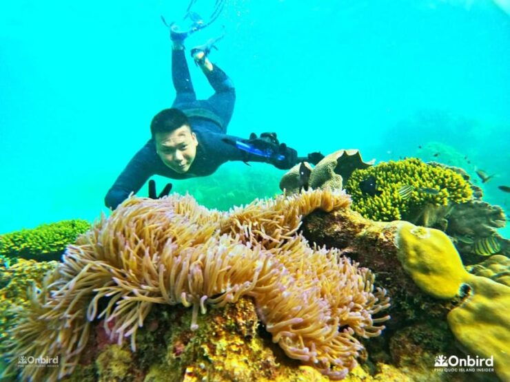 Phu Quoc: Pro Snorkeling to 3 Coral Reefs & Beach (MAX 12) - Good To Know
