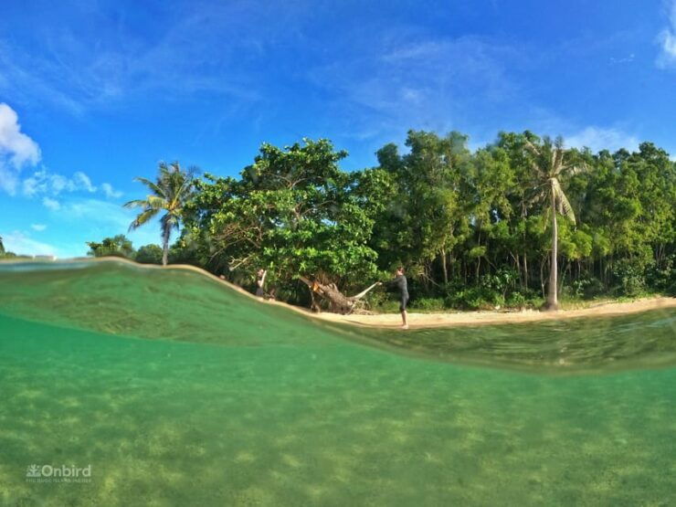 Phu Quoc: Pro Snorkeling to 3 Coral Reefs & Beach (MAX 12) - Itinerary and Activities