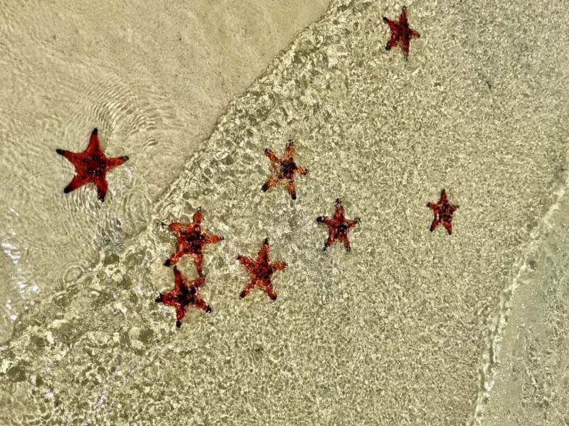 Phu Quoc: Rach Vem Starfish Kingdom & Cooking Experience - Good To Know