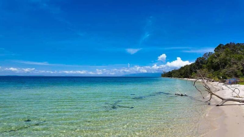 Phu Quoc: Rach Vem Starfish Kingdom & Cooking Experience - Final Thoughts