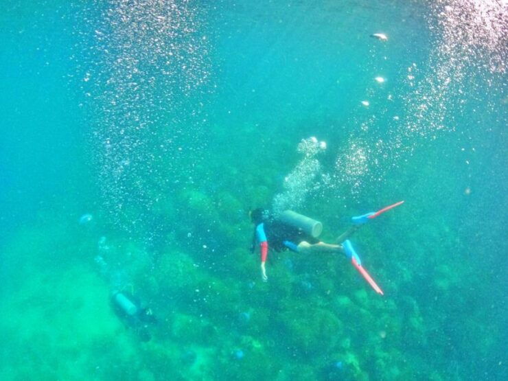 Phu Quoc: Scuba Diving Experience for All Levels - Activity Overview