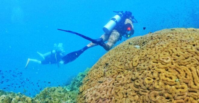 Phu Quoc: Scuba Diving Experience for All Levels - Changes and Contingencies