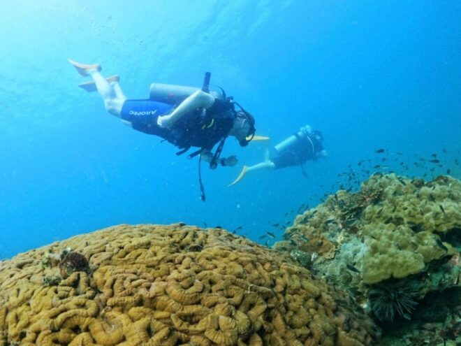 Phu Quoc: Scuba Diving Experience for All Levels - Reserve Now & Pay Later Options