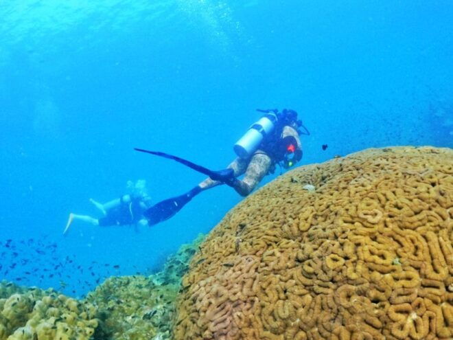 Phu Quoc: Scuba Diving Experience for All Levels - Other Recommended Water Activities