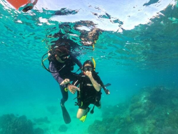 Phu Quoc: Scuba Diving Experience for All Levels - The Sum Up