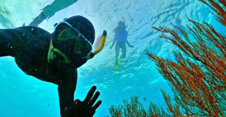 Phu Quoc Small-group Snorkeling to the Coral Jungle Reef - Activity Details