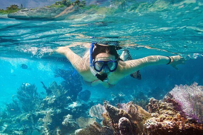 Phu Quoc Snorkeling 3 Islands by Boat Full Day Tour - Who is this tour best for?
