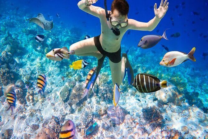 Phu Quoc Snorkeling 3 Islands by Boat Full Day Tour - Who Should Consider This Tour?