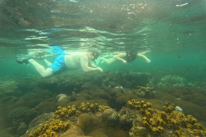 Phu Quoc: Snorkeling and Island Hopping By Speedboat with Lunch - What’s Included and What’s Not