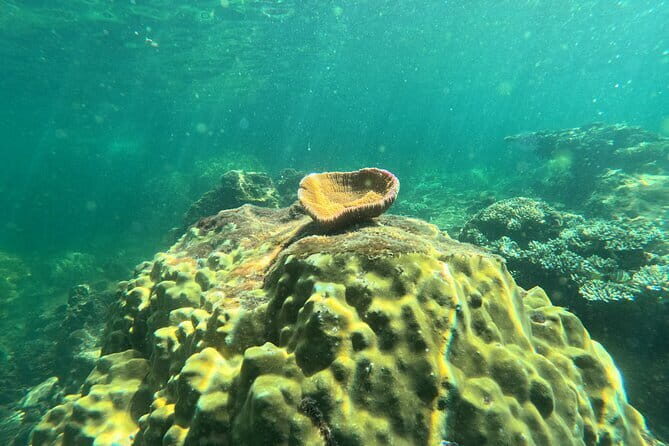 Phu Quoc: Snorkeling and Island Hopping By Speedboat with Lunch - Practical Details and What You Should Know