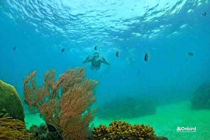 Phu Quoc Spearfishing, BBQ Lunch, and Island Hopping Adventure - Delicious BBQ Lunch Over a Campfire