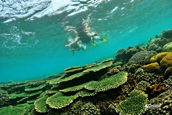 Phu Quoc Spearfishing, BBQ Lunch, and Island Hopping Adventure - Intimate Small-Group Adventure