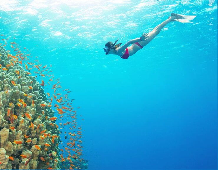 Phu Quoc: Speedboat Tour of 4 Islands With Snorkeling & BBQ - Tour Highlights