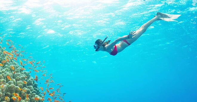 Phu Quoc: Speedboat Tour of 4 Islands With Snorkeling & BBQ - Customer Reviews and Ratings