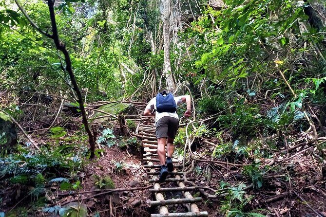 Phu Quoc Tien Son Dinh Full Day Trekking Tour - What Reviewers Say