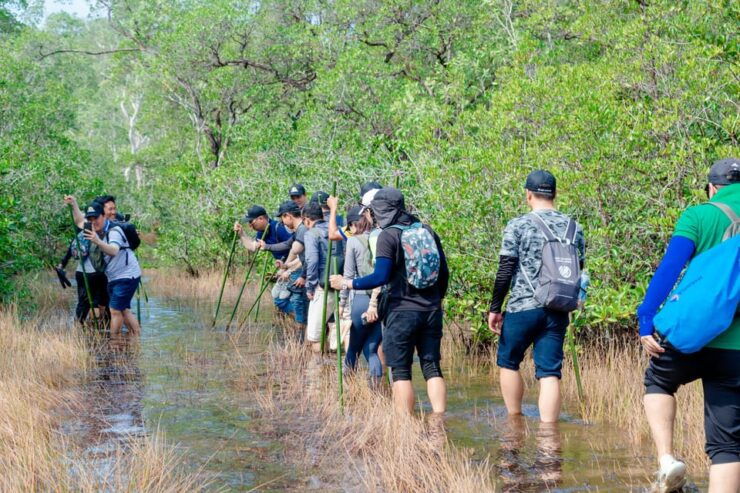 Phu Quoc Trekking and SUP on Rach Tram River - Good To Know