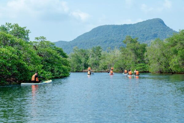 Phu Quoc Trekking and SUP on Rach Tram River - Participant Guidelines