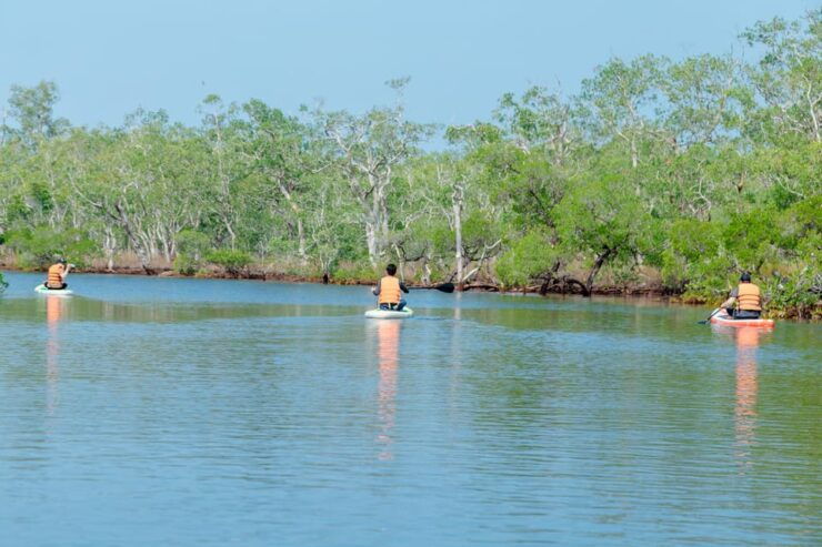 Phu Quoc Trekking and SUP on Rach Tram River - Detailed Itinerary