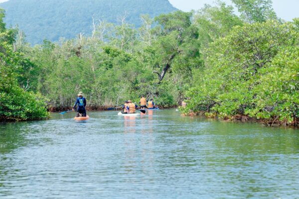 Phu Quoc Trekking and SUP on Rach Tram River - Tips for an Enjoyable Trip
