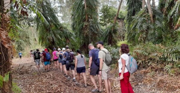Phu Quoc Trekking and SUP on Rach Tram River - Exploring Phu Quoc National Forest