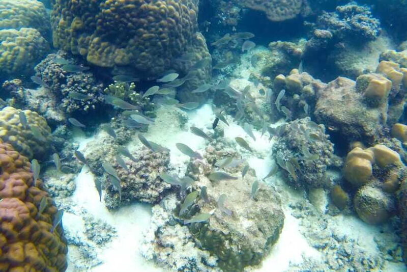 PHU QUOC TRIP 2: 2 ISLANDS BY BOAT - FAQ