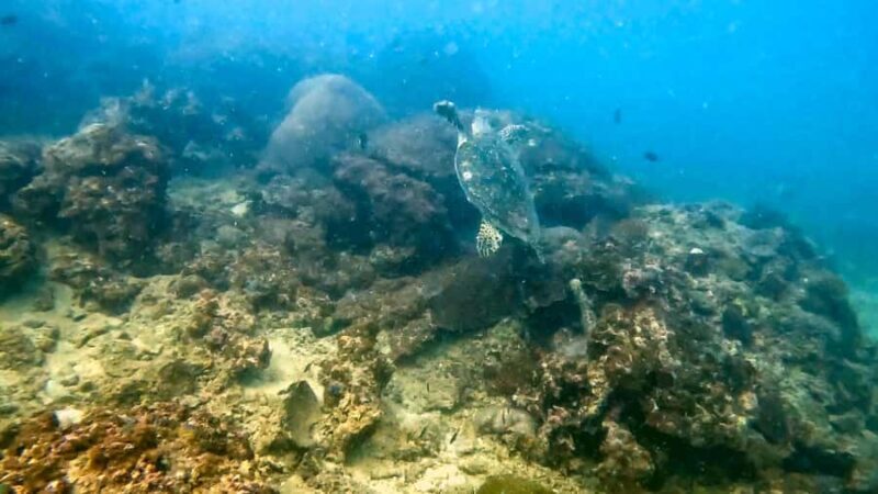 Phuket: 3 Day PADI Open Water Scuba Course with Boat Trip - The Learning Environment & Equipment