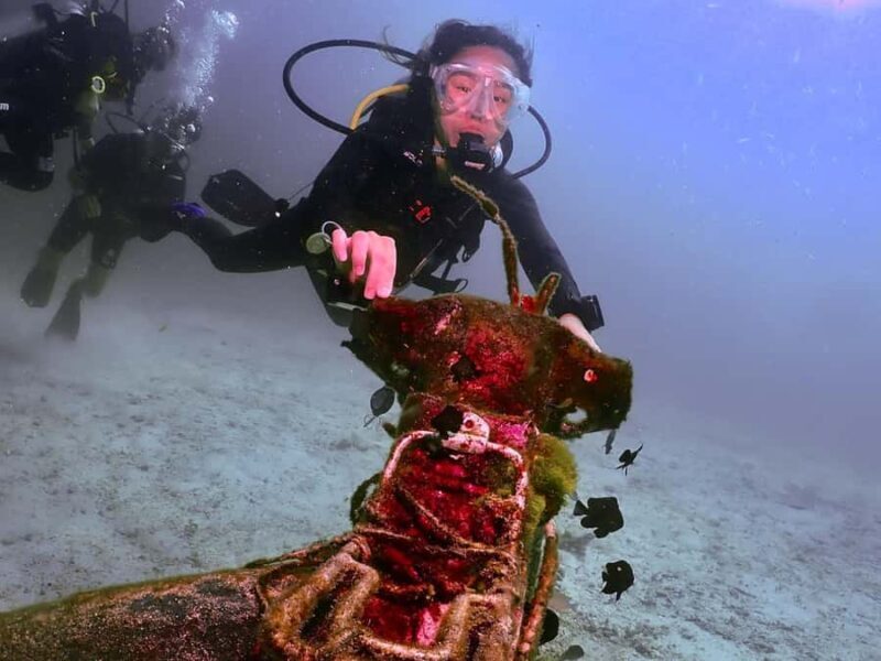 Phuket: 3 Dive Koh Phi Phi/Shark Point Scuba Diving Day Trip - Dives and Marine Life