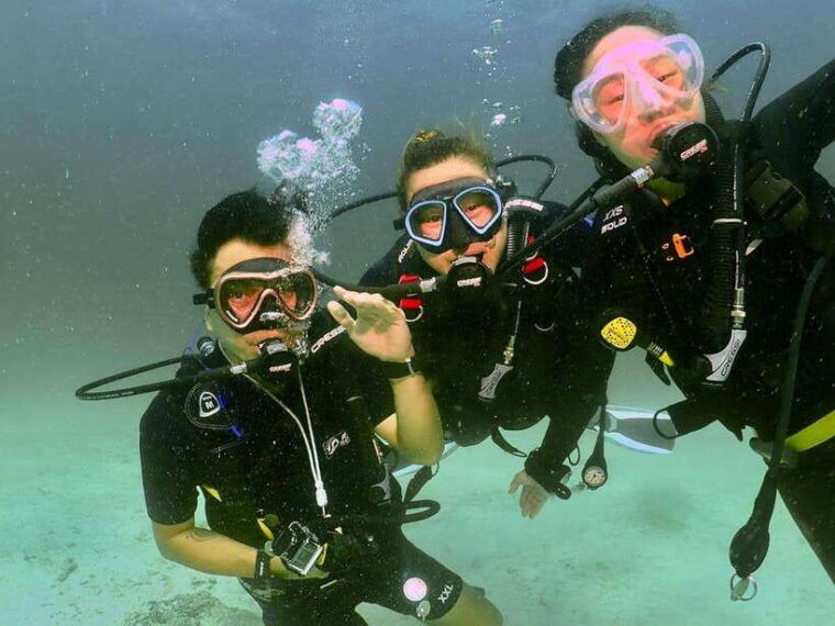Phuket: 3 Dive Koh Phi Phi/Shark Point Scuba Diving Day Trip - Participant Requirements and Restrictions