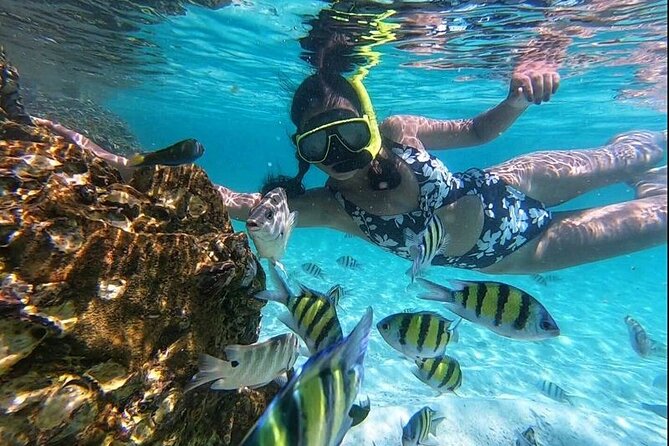 Phuket - 4 Phi Phi Islands 9 Points Snorkel Canoe Paddle Board by Speed Boat - Inclusions and Exclusions