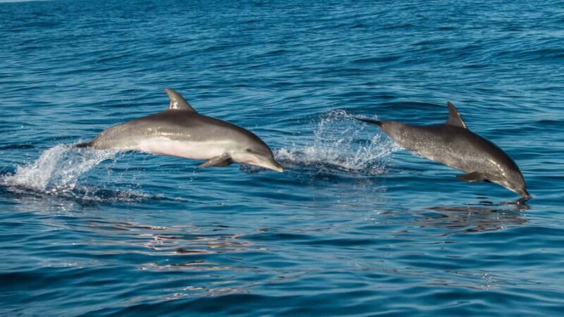 Phuket: 5 Islands Premium Speed Catamaran with Sunset - FAQ