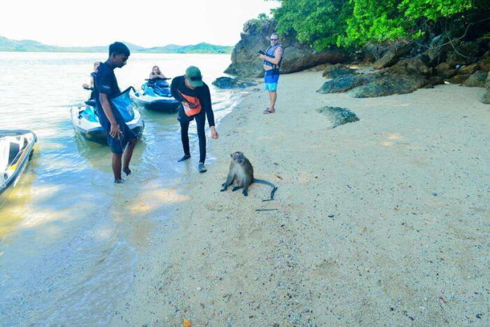 Phuket: 5 or 8-Island Jet Ski Tour With Lunch and Transfer - Booking and Cancellation Policy