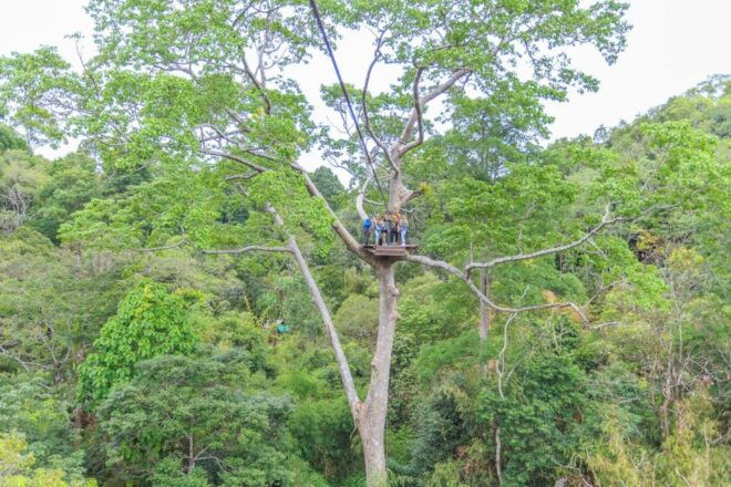 Phuket: ATV and Zipline Panoramic Adventure - Reviews and Details