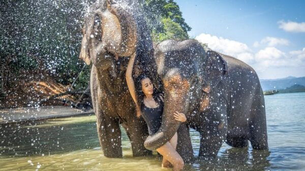 Phuket: ATV Ride With Khai Islands and Elephant Bathing - Questions You May Have