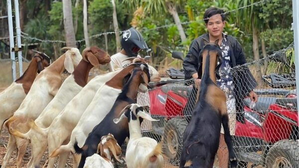 Phuket: ATV Ride With Secret Sea Viewpoints and Swing - What to Bring for Your Ride
