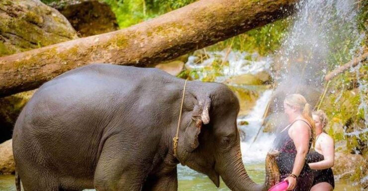 Phuket: Bamboo Rafting, ATV (Optional), Elephant Bathing. - Activity Inclusions