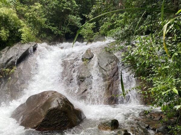 Phuket: Bamboo Rafting, Monkey Cave, and ATV Option - Free Cancellation and Reservation Policy