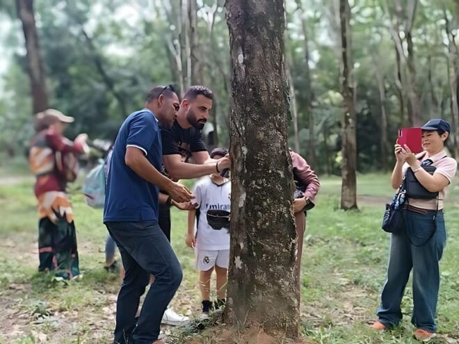 Phuket: Bang Rong Community Day Tour With Lunch & Activities - Transportation and Logistics