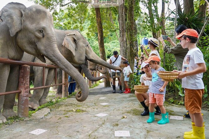 Phuket Best: City Tour & Elephant Park Experience - Price and Booking Details